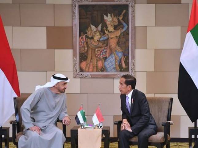 Presiden Jokowi Bertemu dengan Presiden MBZ di BNDCC Nusa Dua Bali