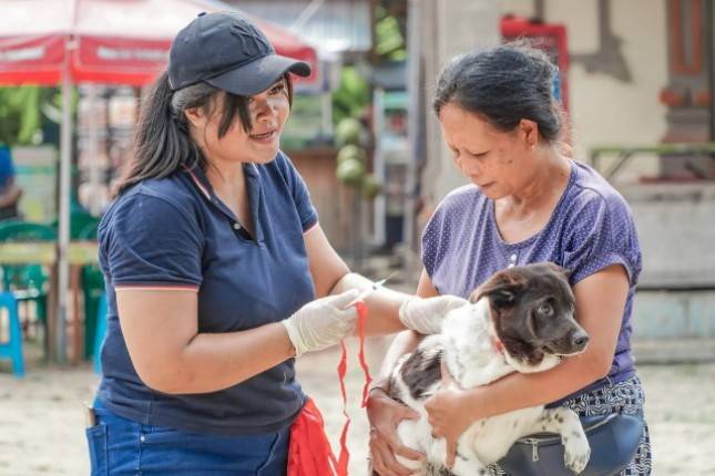 Bali Kendalikan PMK dan Rabies, Siap Sukseskan KTT G20 Mendatang