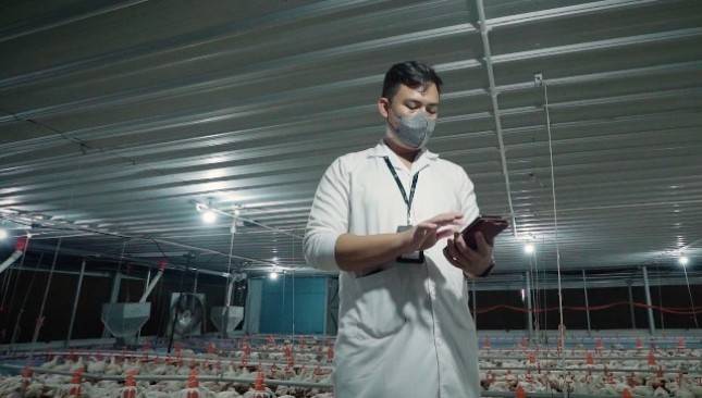 Telkom Dukung Akselerasi Digital Sektor Peternakan dengan Platform Antares