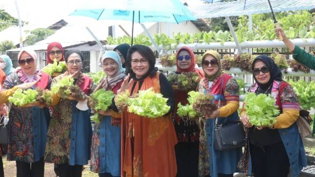 Kabid Pangan Oase-KIM Dorong Masyarakat Manfaatkan Pekarangan Sumber Makanan Sehat