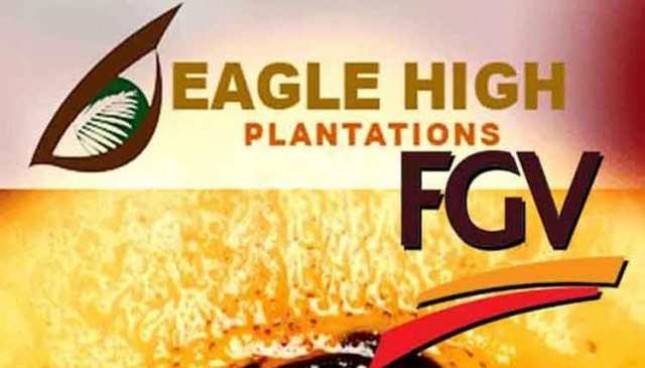 2018, Pabrik Eagle High Plantations Siap Beroperasi di Papua
