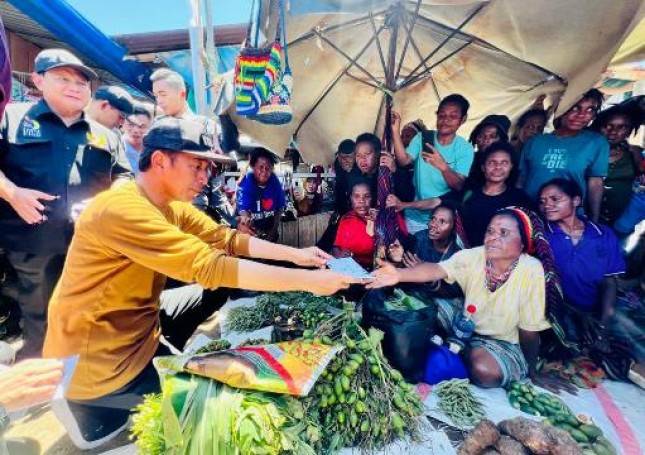 Presiden Jokowi Tinjau Food Estate di Keerom Papua