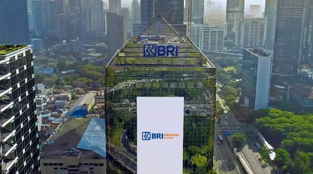 BRI Danareksa Sekuritas Jadi Underwriter Unggulan Pada Tahun 2022