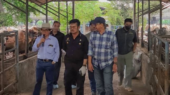 Mentan Pastikan Ketersediaan Daging Jelang Lebaran Aman