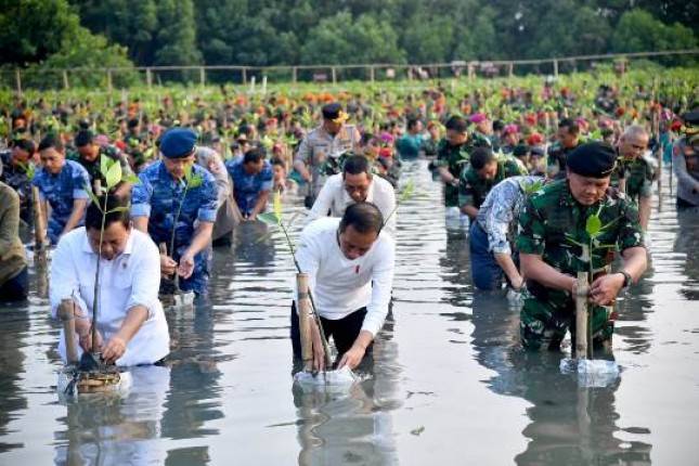 Tanam Mangrove Bersama, Presiden Jokowi Tekankan Pentingnya Jaga Hutan Mangrove