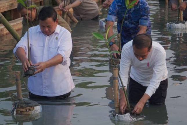 Menhan Prabowo Subianto Dampingi Presiden RI Jokowi Tanam Mangrove Serentak di Seluruh Indonesia