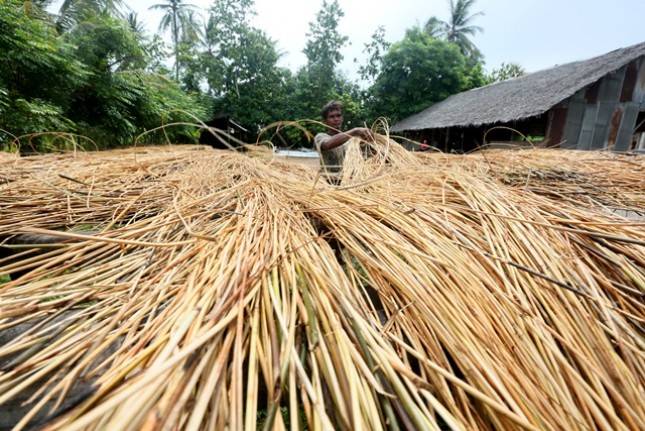 Kemenperin Siapkan Cirebon Jadi Pusat Penyediaan Bahan Baku Rotan