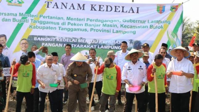 Lampung Digairahkan Tanam Kedelai