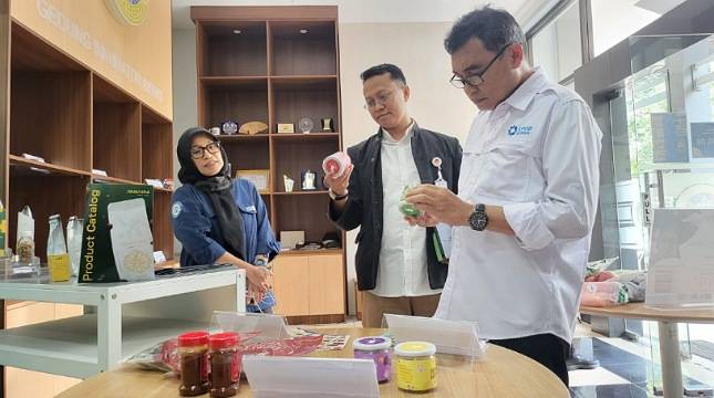LPDB-KUMKM - Inkubator Wirausaha UNAIR Jalin Kolaborasi Gencarkan Pelatihan UMKM dan Koperasi