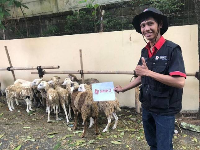 Rayakan Idul Adha, SiCepat Ekspres Salurkan Daging Kurban ke 4 Wilayah di Indonesia