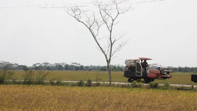 DPR RI Kian Optimis Food Estate Setelah Mendengar Langsung Petani Kalteng
