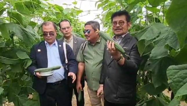 Menyulap lahan tandus jadi pemasok sayur terbesar Eropa
