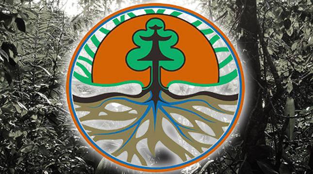 LHK Cabut Izin Pelepasan Kawasan Hutan, Bukan HGU