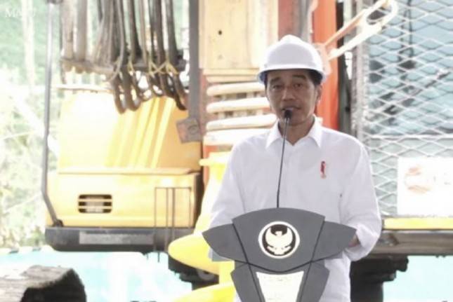 Presiden Jokowi: Semua Bangunan di IKN Harus Green Building