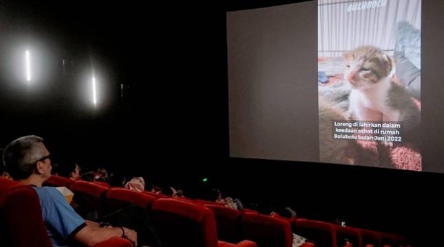 Keren! Kinerja Industri Film Tumbuh Positif Sepanjang Tahun 2023