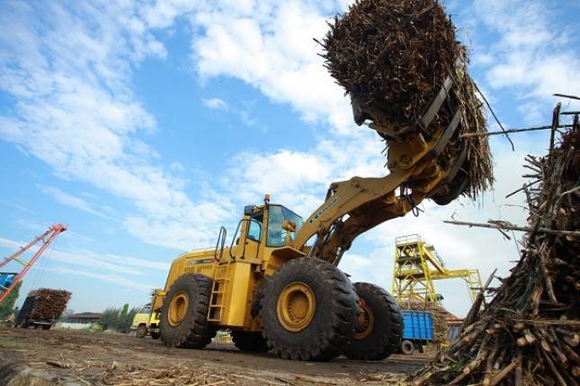 Dukung Target Swasembada Gula 2030, ID FOOD Siapkan Peta Jalan Pengembangan Teknologi Industri Gula