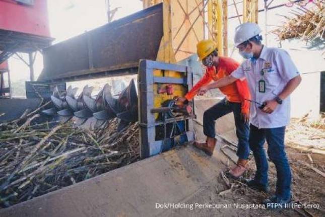 Targetkan 60.000 Ha Peremajaan, PalmCo Makin Getol Gandeng Petani sawit  