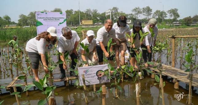 AAJI Tanam 2000 Bibit Mangrove dan Berikan Literasi Keuangan Pada Kelompok Nelayan
