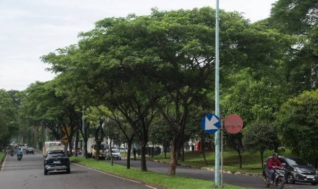 Komitmen LPCK Kelola Kota Mandiri Berkelanjutan