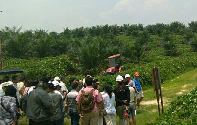 Produksi Alkohol Lemak Nabati 'van' Dumai, Hajat Besar Sinar Mas Cepsa 
