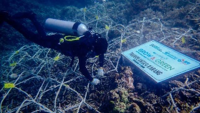 Maknai Hari Lingkungan Hidup Sedunia, BRI Pulihkan Ekosistem dan Lawan Perubahan Iklim Melalui Program BRI Menanam - Grow & Green 