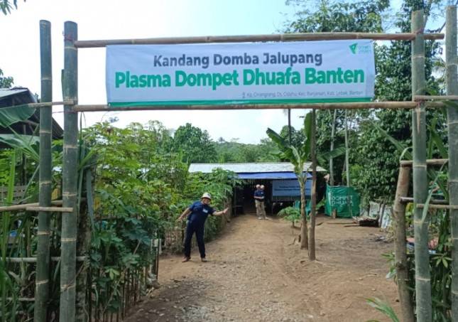 Dorong Ekonomi Warga, Pramukantor Beralih Menjadi Peternak Plasma Jalupang Bersama Dompet Dhuafa Banten