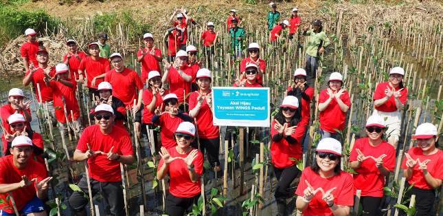 Yayasan WINGS Peduli Tanam Ratusan Pohon Mangrove dalam Program Aksi Hijau #WINGSPeduliLingkungan