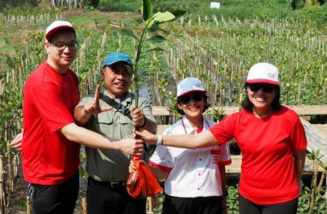 Yayasan Wings Peduli Tanam Ratusan Pohon Mangrove di PIK