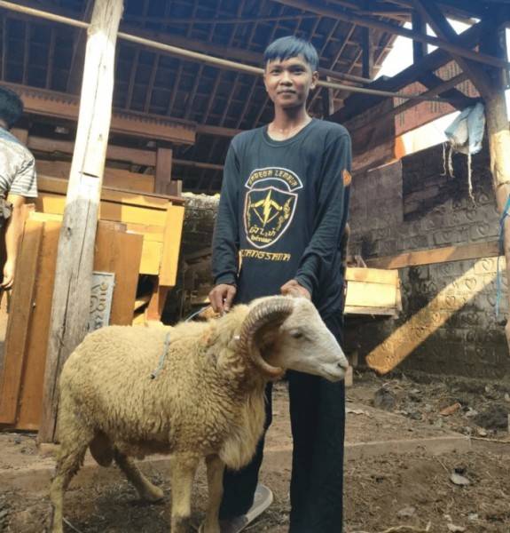 Berkat Tebar Hewan Kurban Dompet Dhuafa, Pemuda Subang Mampu Biayai Pendidikan Sendiri