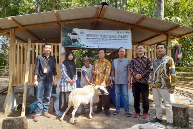 Bersama BMT BIF, Dompet Dhuafa Hadirkan Program Plasma Domba