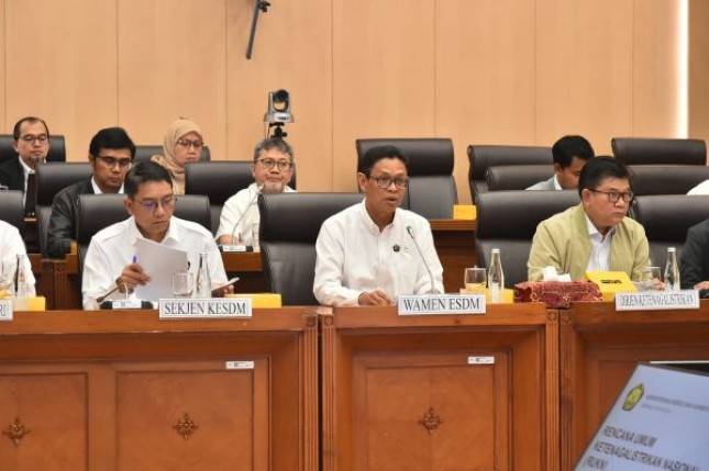 Kementerian ESDM Usulkan Konsumsi Listrik dan Bauran Energi