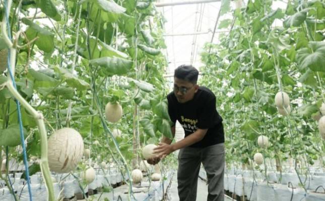 Dorong Kesejahteraan Petani Melon Hidroponik, Dompet Dhuafa Bersama ROIS OJK Hadirkan Greenhouse Bagi Koptan Melon Langensari