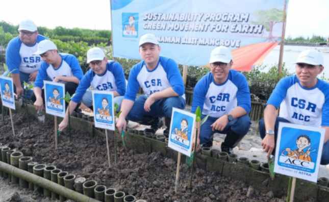 ACC Tanam 1.000 Mangrove di Bali, Dukung Keberlanjutan dan Reduksi Emisi Karbon