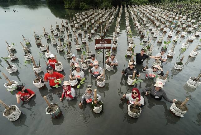 Prudential Indonesia Tanam 5.000 Mangrove