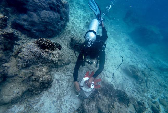 Peringati Hari Bumi 2025, Telkom Selenggarakan Konservasi Lingkungan Serentak di 4 Titik Lokasi di Indonesia