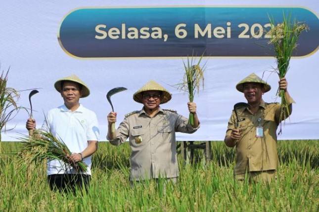Perkuat Ketahanan Pangan, Pemprov DKI Jakarta Jalin Kerjasama dengan Pemkab Karawang