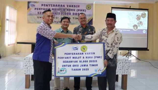 Frisian Flag Indonesia Donasikan 13.600 Dosis Vaksin PMK untuk Peternak Sapi Perah di Tiga Provinsi