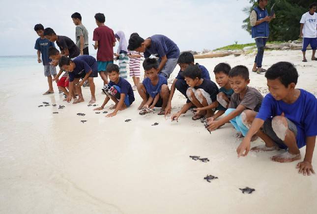 Peringati Hari Kura-Kura dan Penyu Sedunia, Telkom Lepas 200 Anak Penyu di Kapoposang, Sulawesi Selatan