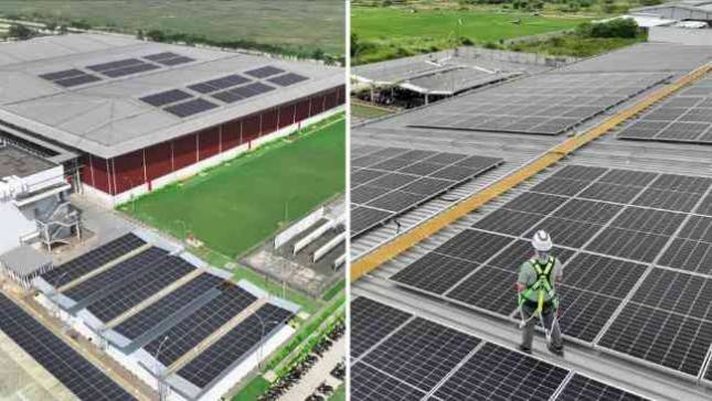 Mowilex Gunakan Energi Surya, Kini 1 dari 4 Liter Cat Diproduksi dengan Energi Bersih
