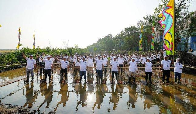 PT KCN Tanam Mangrove Sepanjang 4 KM, Dukung Hari Mangrove Sedunia 2025 dan Kelestarian Pesisir Jakarta