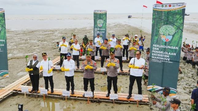 Kapolri Tanam Mangrove di Kalbar Demi Masa Depan Lingkungan dan Generasi Penerus