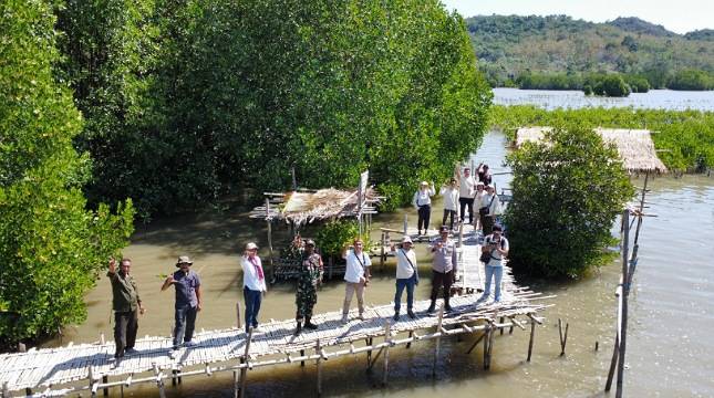 MPMX Lanjutkan Rehabilitasi Mangrove, Capai 100.000 Bibit Tertanam di Desa Golo Sepang, NTT