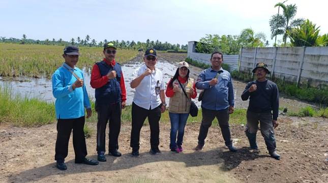 Brigade Pangan di Kapuas Tancap Gas! Tanam Musim Ketiga Serentak Demi Swasembada Nasional