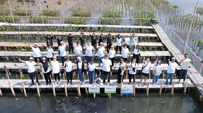 Sambut Hari Habitat Sedunia, Cermati Fintech Group Tanam Bibit Mangrove di Kawasan Hutan Lindung PIK