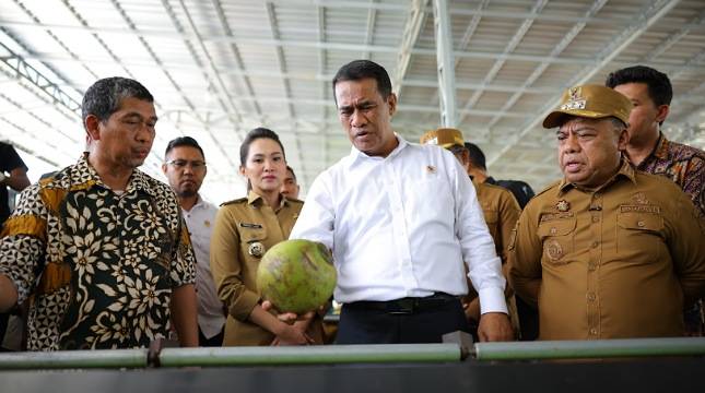 Mentan Amran Dorong Hilirisasi Kelapa dan Kenaikan Harga Petani di Maluku Utara