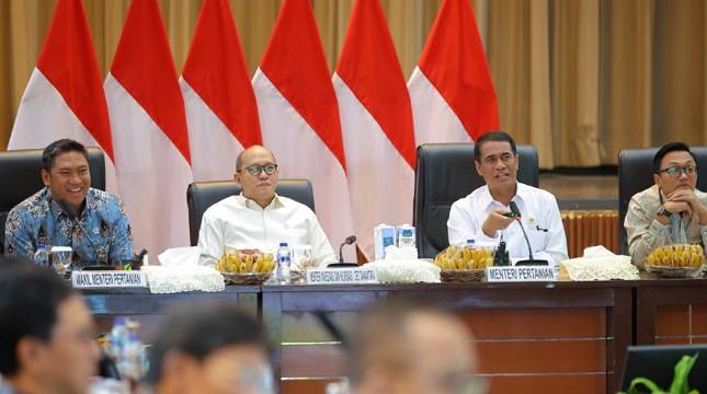 Pemerintah Gelontorkan Rp371 Triliun untuk Hilirisasi Pertanian, Ciptakan 8 Juta Lapangan Kerja