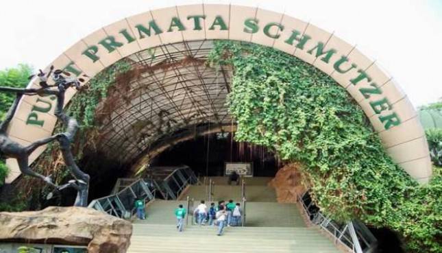 Libur Lebaran Ragunan Lakukan Pembatasan Pengunjung Hanya 30 Persen