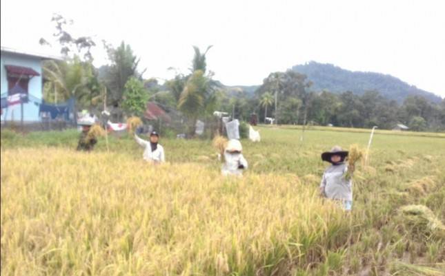 Impor Beras, Bukti Kesejahteraan Petani Sudah Memburuk