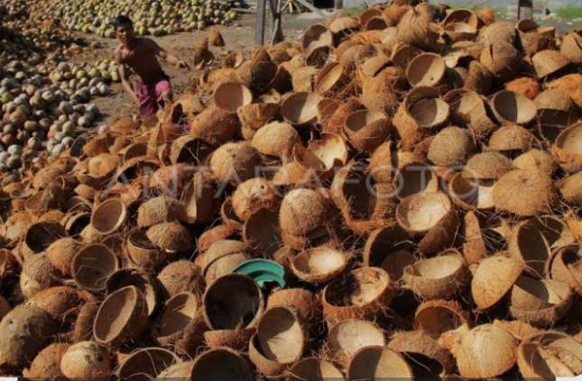 Kemenperin Genjot Daya Saing Industri Kelapa Berbasis Teknologi Modern