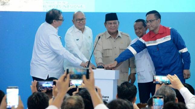 Pemerintah Gaspol Hilirisasi Tahap II, Pengamat: Berpotensi Mendorong Transformasi Industri dan Nilai Tambah